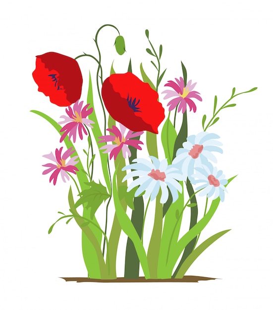 Cama de flores. Flor de amapola roja. Conjunto de flores silvestres de bosque y jardín. Concepto de primavera