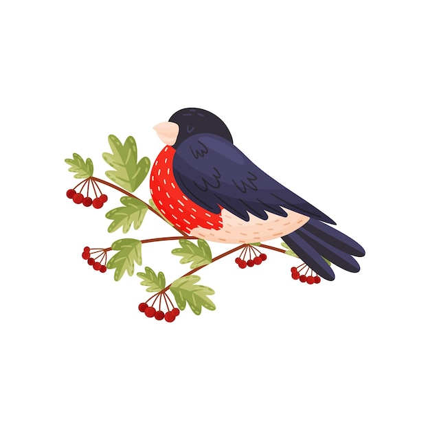 Camachuelo colorido de dibujos animados sobre fondo blanco concepto de flora y fauna pájaro y primavera vector ilustración plana