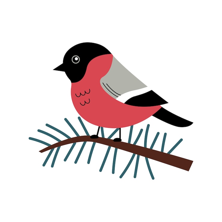 Vector camachuelo gordito en rama de abeto lindo personaje vectorial de un pájaro rojo de invierno en un estilo moderno dibujado a mano perfecto para una postal impresa o una etiqueta