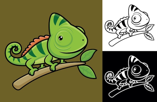 Camaleón divertido en las ramas de los árboles. ilustración de dibujos animados en estilo de icono plano