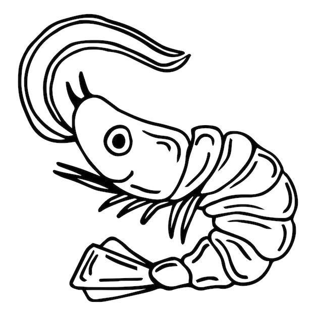 Camarón mar caridea animal grabado ilustración vectorial.