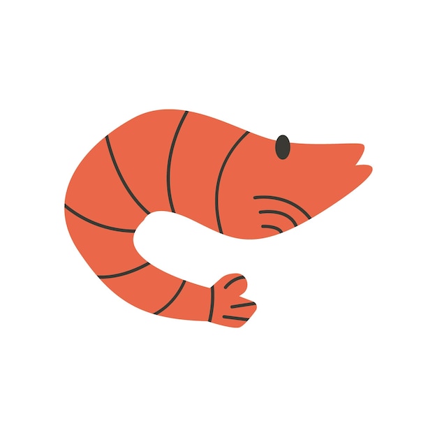 Vector camarón naranja sobre un elemento de fondo blanco iconos de dibujos animados vector dibujado a mano ilustración