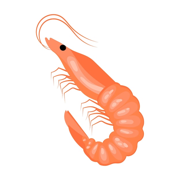 Vector camarón en un vector de icono de menú de ilustración de marisco de fondo blanco