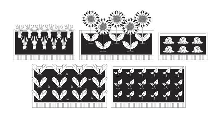 Vector camas de jardín elevadas con verduras y girasoles conjunto de objetos de línea 2d