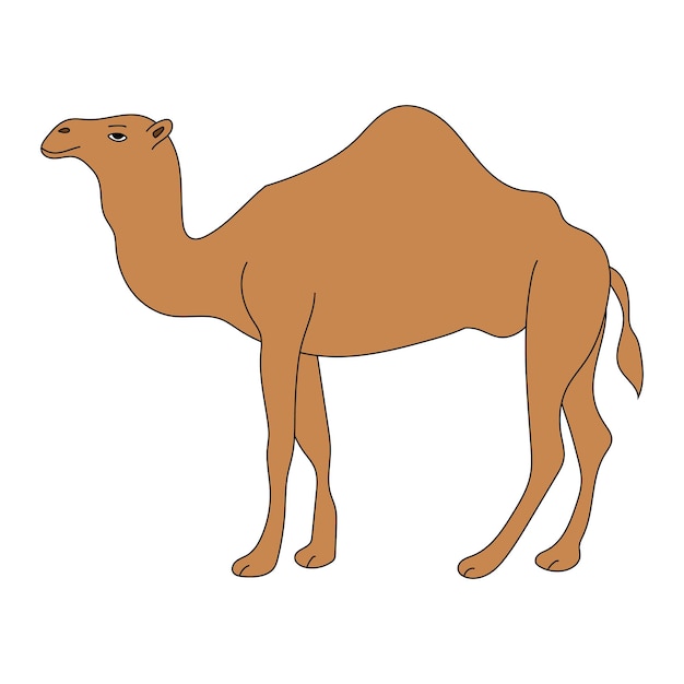 Camel Clipart dibujos animados Animales salvajes Set de clipart para los amantes de la vida silvestre