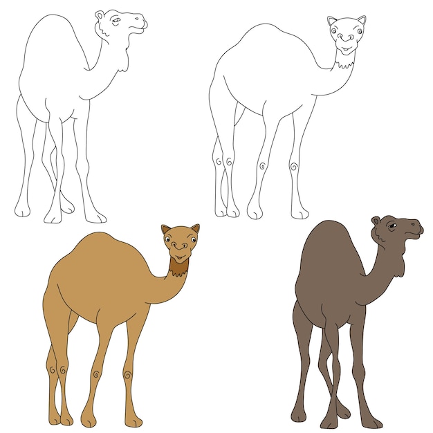 Camel Clipart Set Wild Animals colección de clipart para los amantes de las selvas y la vida silvestre