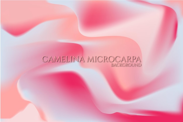 Vector camelina microcarpa fondo textura granulada degradado degradado