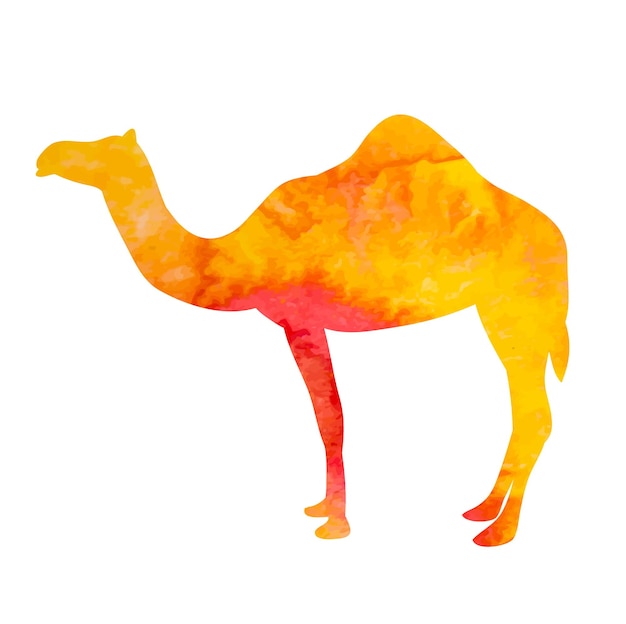 Camello de acuarela de silueta de vector