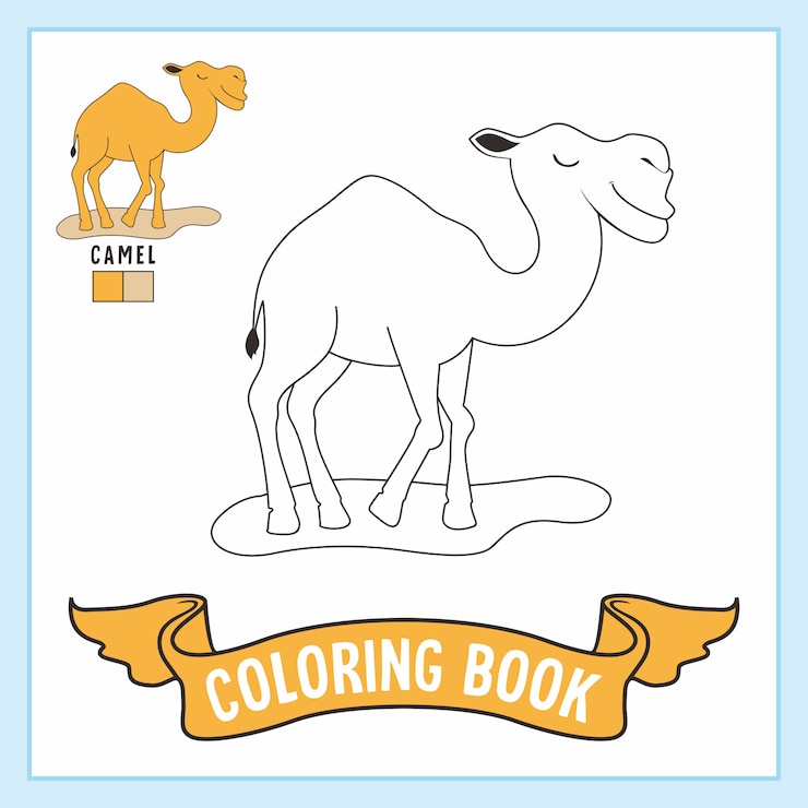 Vector camello animales para colorear libro