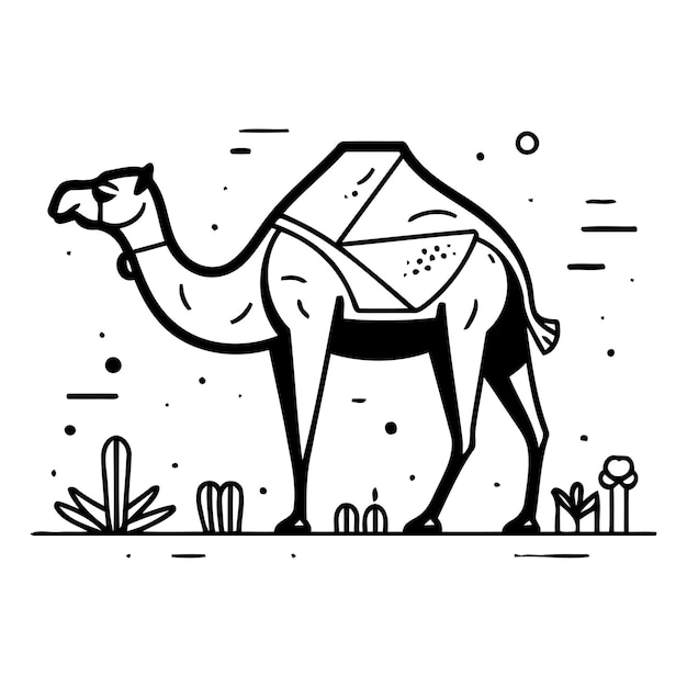 Camello en el desierto Ilustración vectorial en estilo de línea delgada Diseño plano