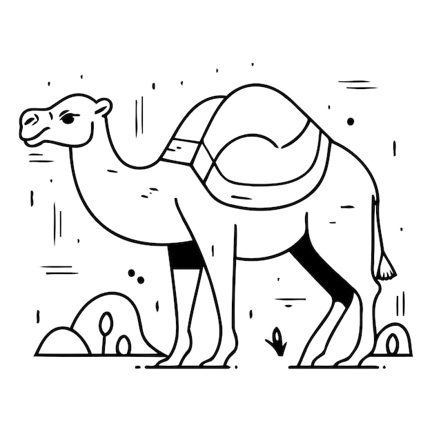 Vector camello en el desierto ilustración vectorial en estilo lineal plano