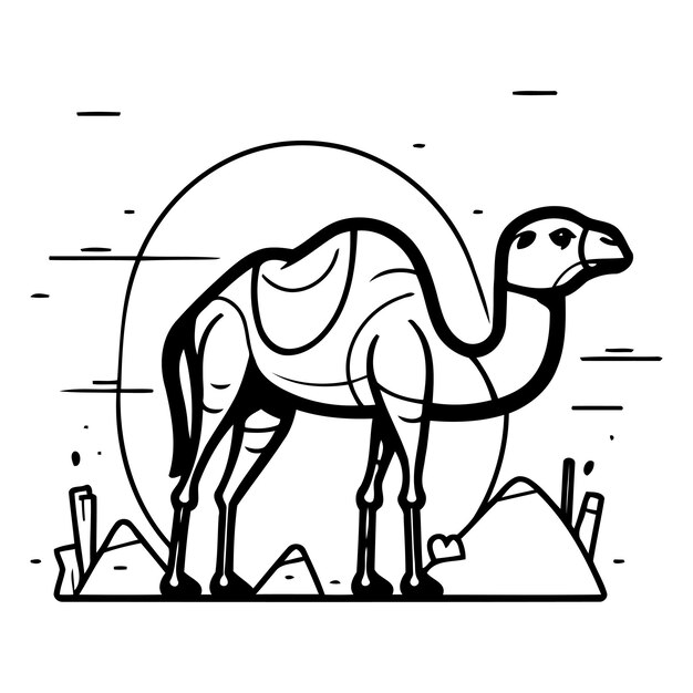 Vector camello en el desierto ilustración vectorial en estilo lineal plano