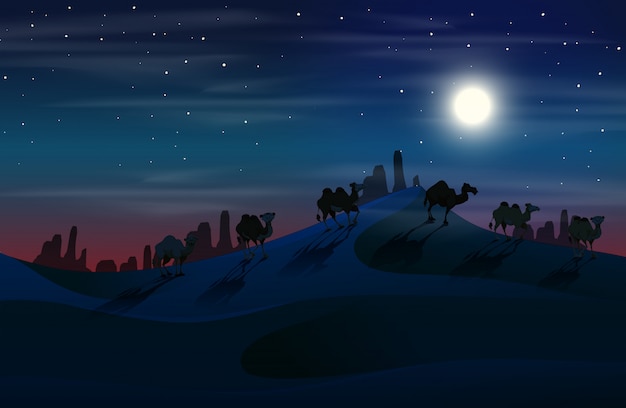 Camello en el desierto por la noche