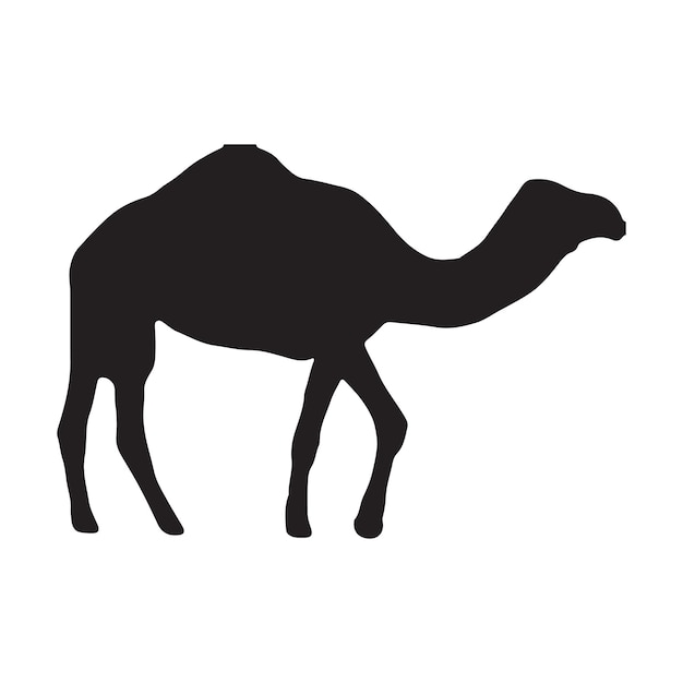 camello con ilustración vectorial de silueta
