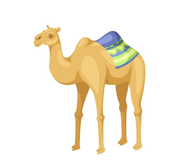 Vector camello indio con concepto de silla de montar animal con ropa tradicional india vida salvaje africana y fauna afiche o pancarta dibujo vectorial plano de dibujos animados aislado en fondo blanco