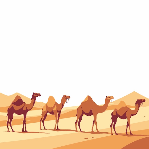 Camellos en el desierto 4