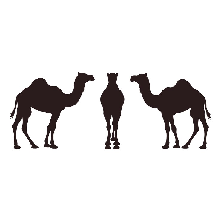 los camellos están de pie en una fila con las palabras camellos en ellos
