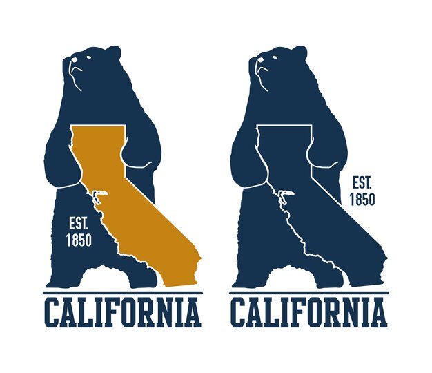 Camiseta california con oso pardo.