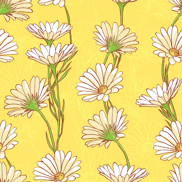 Camomiles