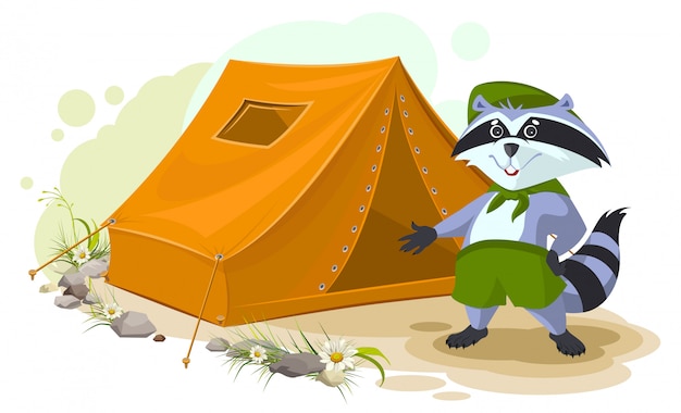 Campamento de vacaciones de verano. Scout mapache de pie cerca de la tienda. Conjunto de tienda turística de mapache. Cámping