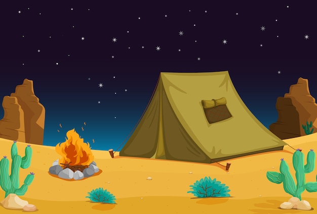 Camping de noche