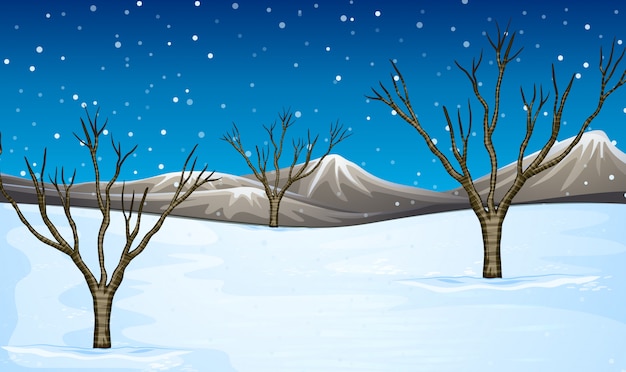 Campo cubierto de nieve
