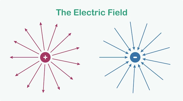 El campo eléctrico La línea de campo de pequeñas cargas positivas apunta radialmente hacia afuera