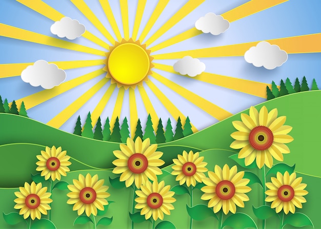 Campo de flor del sol