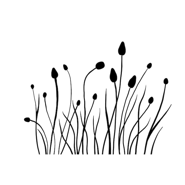 Campo de hierba de flores silvestres de silueta Ilustración dibujada a mano negra vectorial con flores de primavera o verano Sombra de hierba y planta Campo natural aislado en blanco