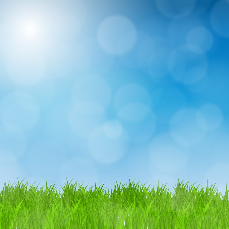 Vector campo de hierba verde y fondo natural de cielo azul
