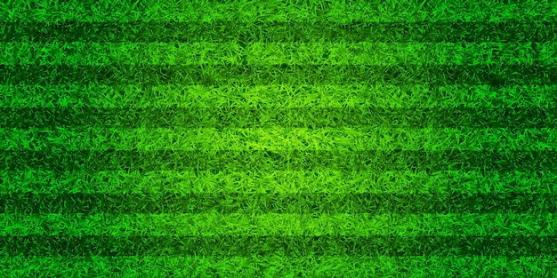 Campo de juego de fútbol con hierba verde campo de fútbol de fondo con rayas campo de deportes estadio