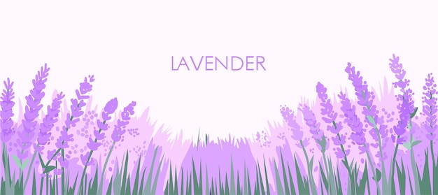 Campo de lavanda póster de verano de vectores brillantes