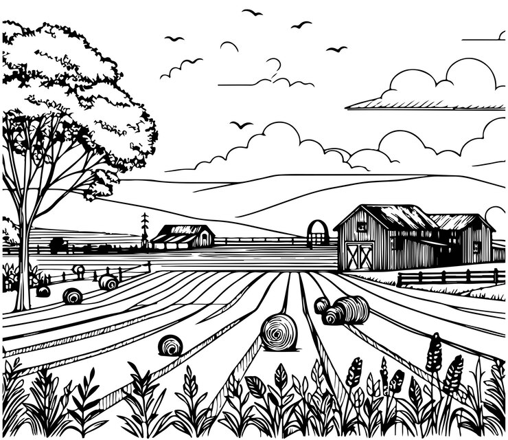 campo de trigo ilustración en blanco y negro en estilo boceto grabado dibujo vintage granja