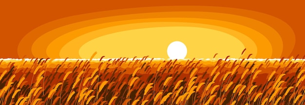 Campo de trigo en una luz nocturna de puesta de sol paisaje escénico tranquilo y tranquilo ilustración vectorial olvidarse de todos los problemas y relajarse concepto