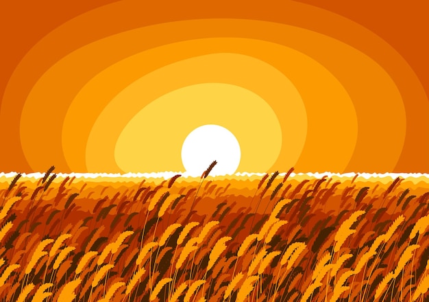 Campo de trigo en una luz de la tarde del sol poniente escénico paisaje tranquilo y apacible ilustración vectorial, olvídese de todos los problemas y relájese el concepto.
