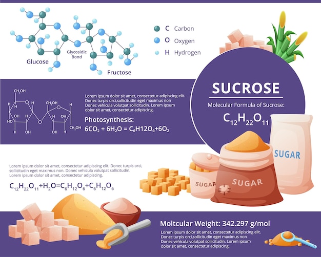 Caña de azúcar estructura del átomo de sacarosa glucosa alimentos de cubo marrón molécula y producto de fórmula bolsa de ingrediente edulcorante montón con cuchara concepto de ilustración vectorial