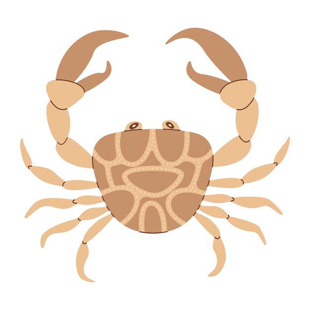 Vector cangrejo dibujado a mano estilo plano cangrejo animal marino