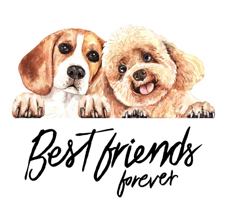 Vector caniche y beagle sobre cabezas de banner de perro asomando sobre un signo de mejores amigos para siempre