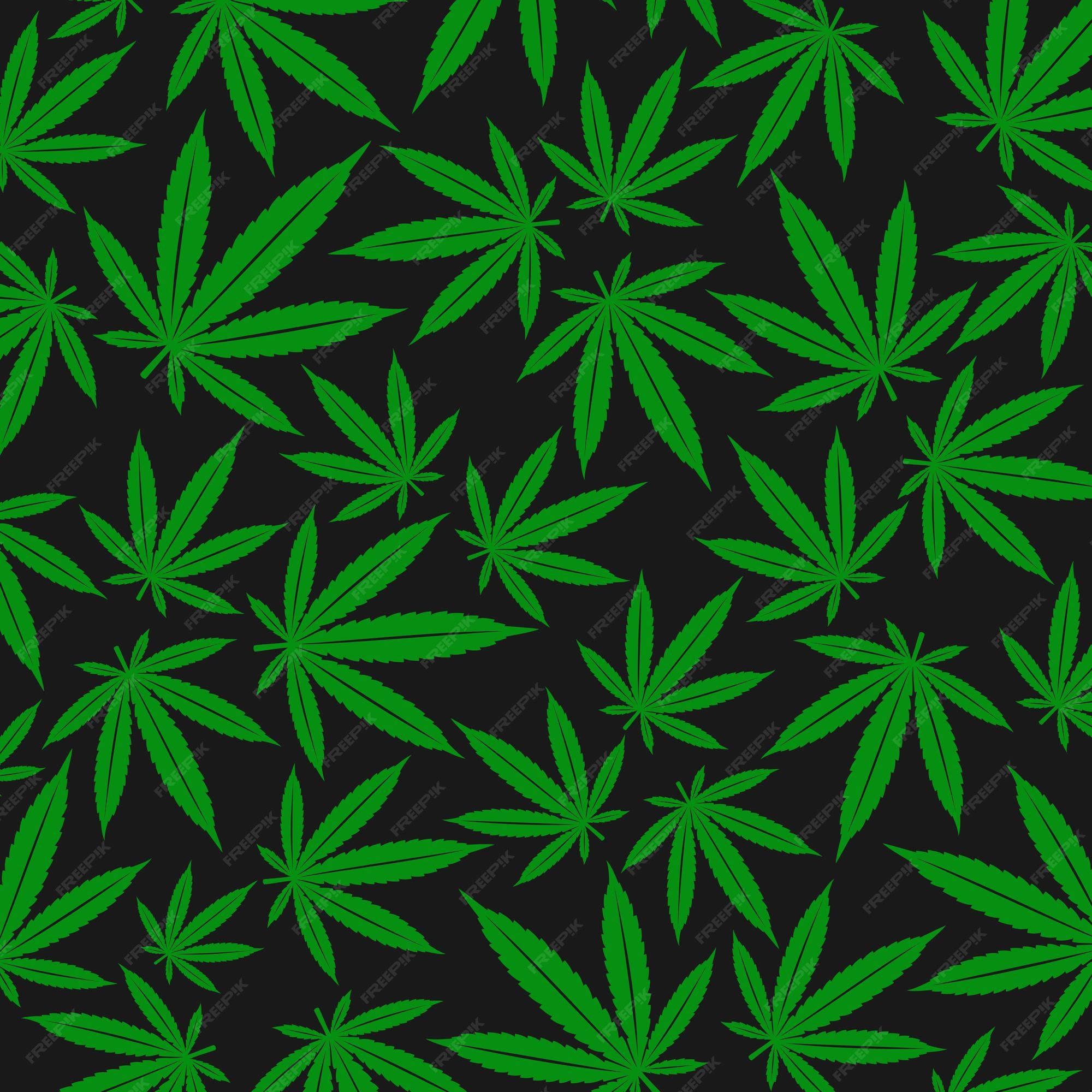 Cannabis, fondo de marihuana ilustración vectorial | Vector Premium