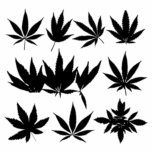 cannabis hoja silueta icono diseño negro blanco fondo