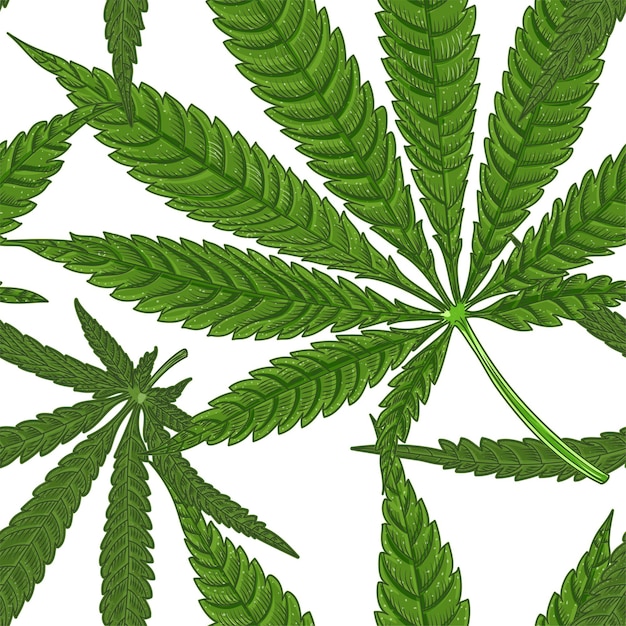 cannabis marihuana hoja de nueve puntas, dibujado a mano de patrones sin fisuras