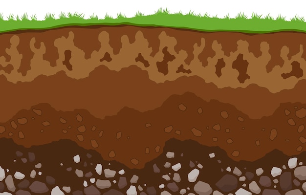 Vector capas de suelo horizontes superficiales capa superior de la estructura de la tierra con mezcla de minerales de materia orgánica suciedad y capa subterránea de arcilla debajo de la hierba verde