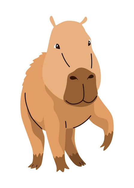 Capibara dibujos animados animal lindo salvaje herbívoro mamífero descansando divertido adorable animal exótico relajante