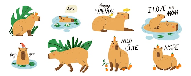 Capibara lindo capibara gracioso animal exótico adorable nadando de pie y sentado América del Sur mamífero relajante letras frase impresa o cartel conjunto de vectores aislados planos de dibujos animados