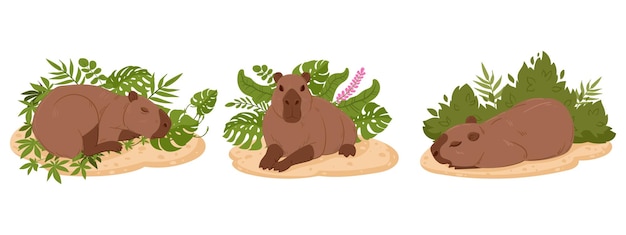 Capibaras de dibujos animados Lindos animales salvajes semiacuáticos herbívoros mamíferos en hábitat natural conjunto de ilustraciones vectoriales planas