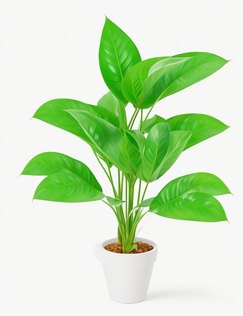 Un caprichoso vector de planta de dinero con fondo blanco.