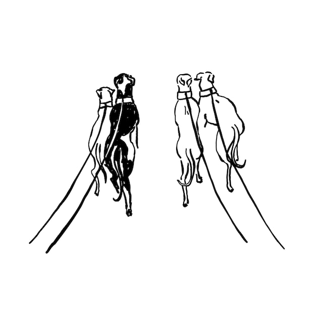 Caprichosos dibujos a mano de perros whippet ilustraciones de diseño de tatuaje de estilo boceto en bruto