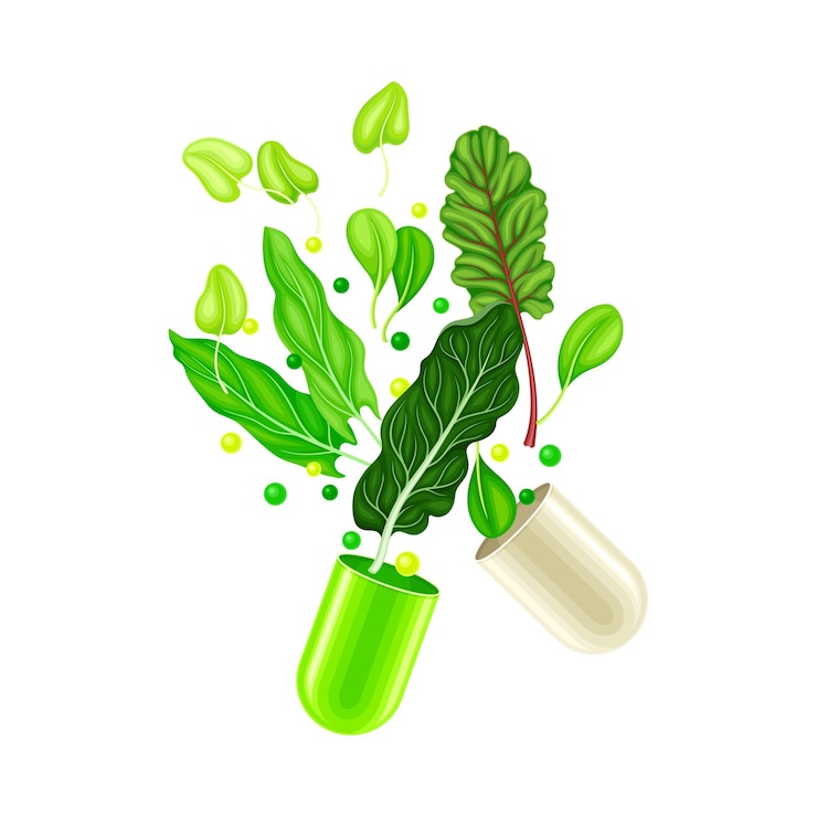 Vector capsula abierta con cáscara dura con verduras verdes como vitaminas e ilustración vectorial de suplementos