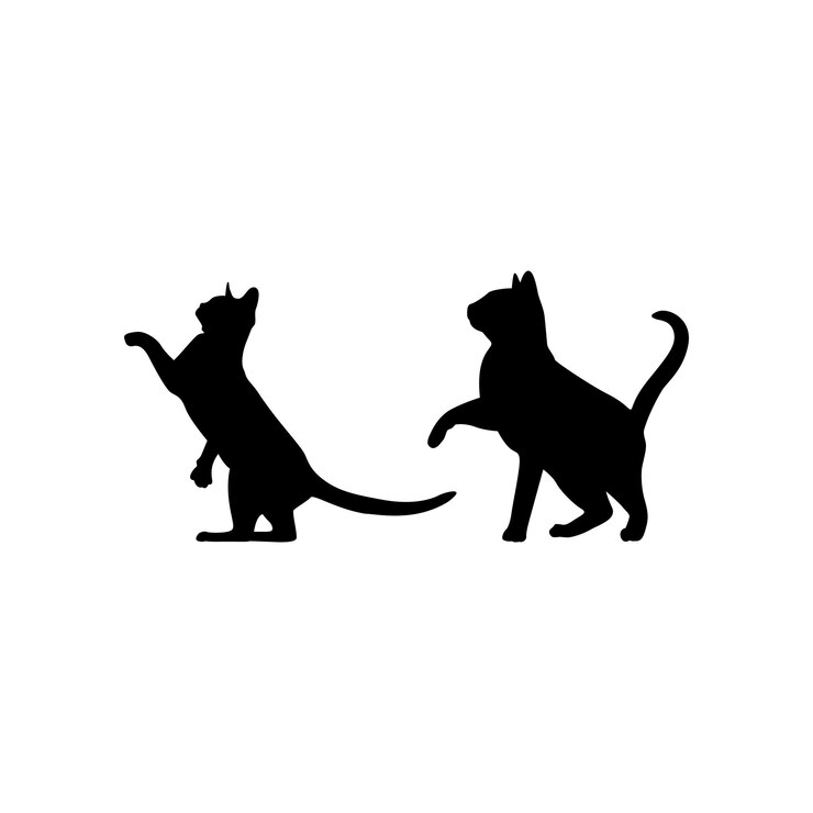 Capturar el movimiento elegante de una silueta de gato