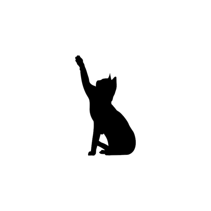 Capturar el movimiento elegante de una silueta de gato